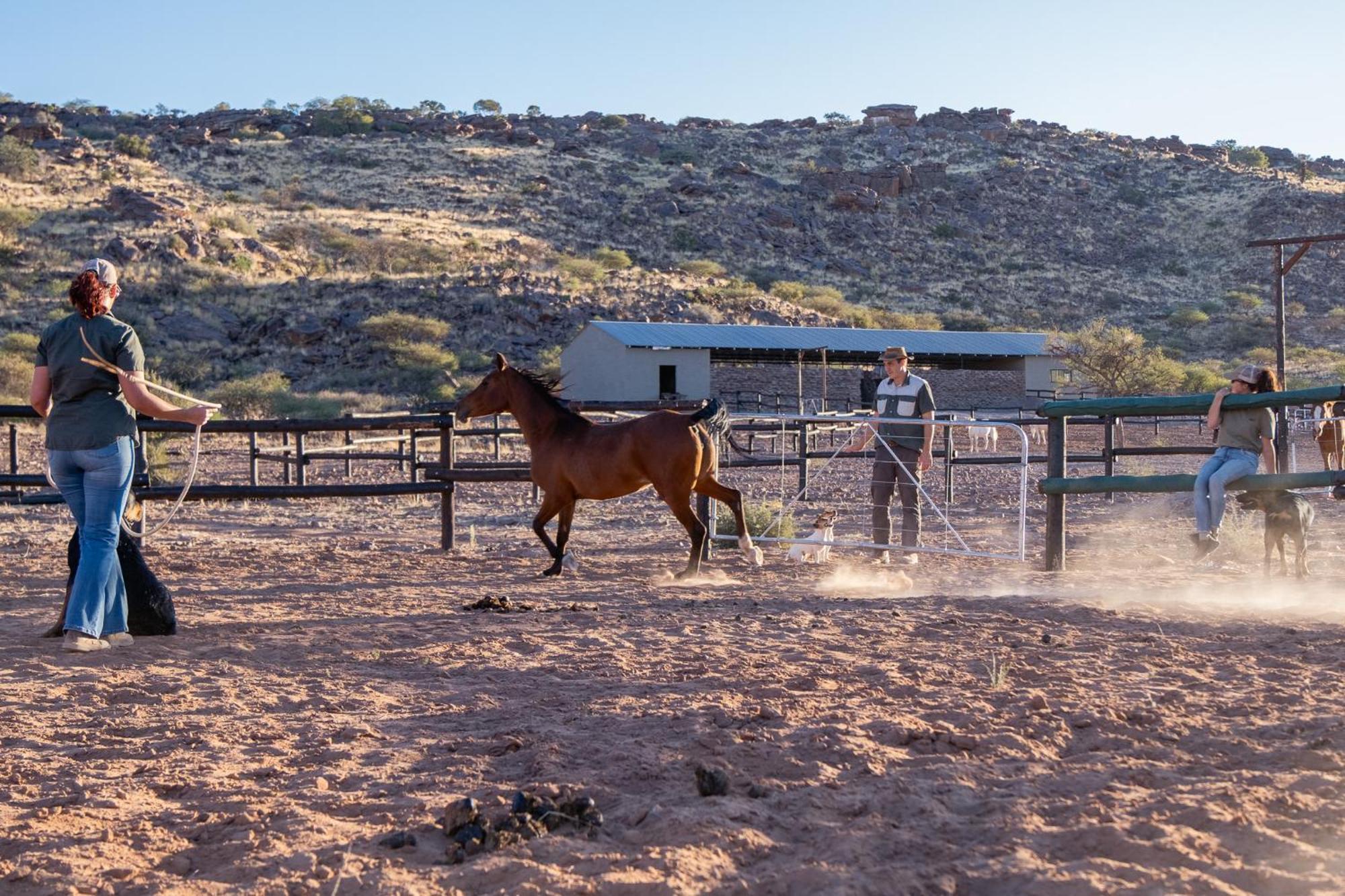 The Farm Life - Namibia Leilighet Maltahohe Eksteriør bilde