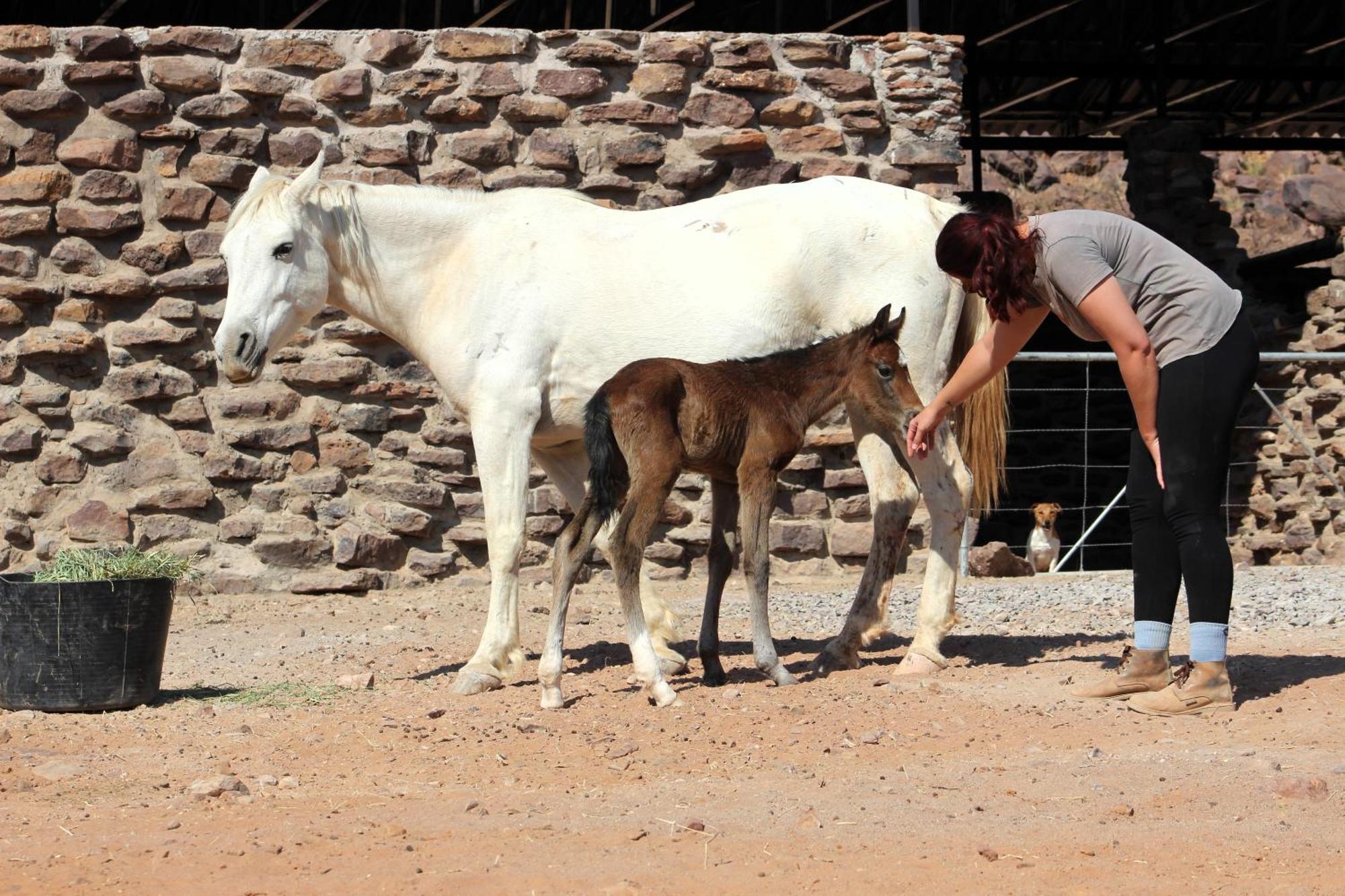 The Farm Life - Namibia Leilighet Maltahohe Eksteriør bilde