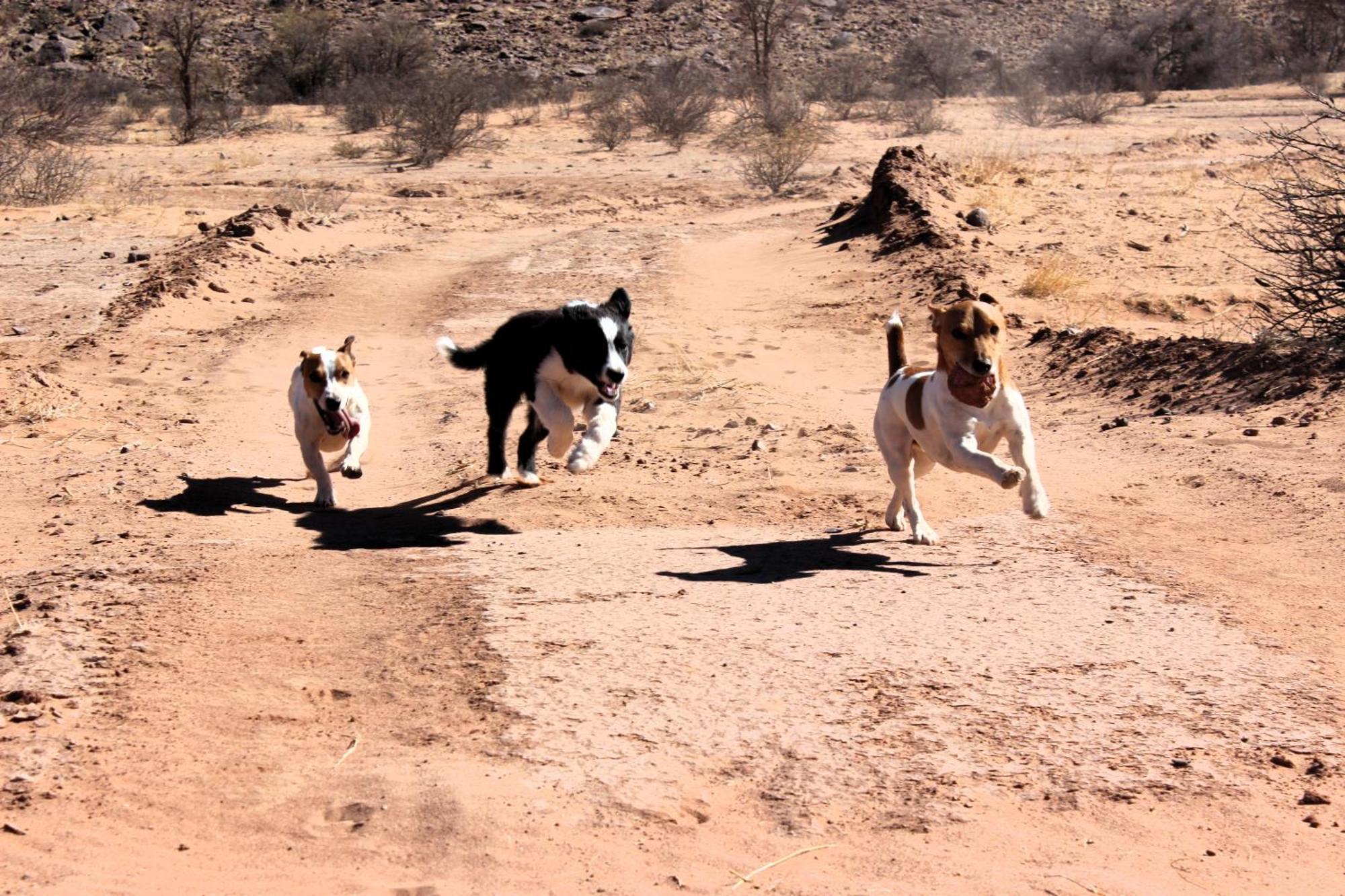 The Farm Life - Namibia Leilighet Maltahohe Eksteriør bilde